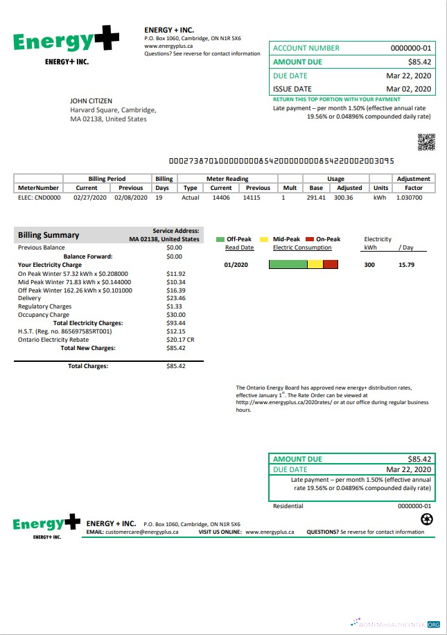 download USA Massachusetts Energy Plus electricity utility bill template in Word and PDF format PDF template